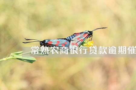 常熟农商银行贷款逾期催收函件