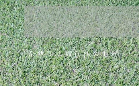 常熟司法局在什么地方 常熟司法局在什么地方
