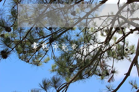 常熟市免费法律咨询 常熟市免费法律咨询