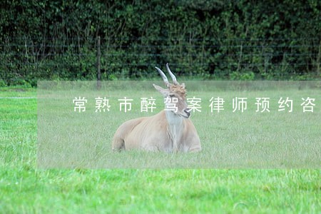 常熟市醉驾案律师预约咨询 常熟市醉驾案律师预约咨询