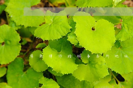 常熟律师婚姻事务所地址 常熟律师婚姻事务所地址