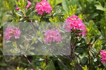 常熟监护权变更律师咨询电话 常熟监护权变更律师咨询电话