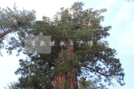 常熟继承房产律师事务所 常熟继承房产律师事务所