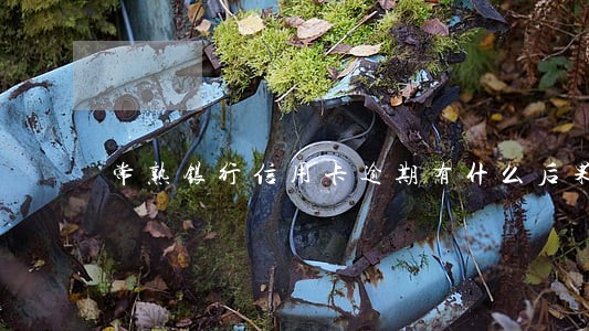 常熟银行信用卡逾期有什么后果 常熟银行信用卡逾期有什么后果