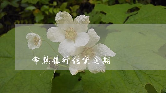 常熟银行信贷逾期 常熟银行信贷逾期