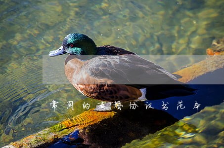 常用的离婚协议书范本 常用的离婚协议书范本