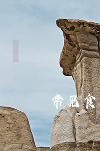 常见食品违法案件 常见食品违法案件