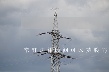 常驻法律顾问可以持股吗 常驻法律顾问可以持股吗