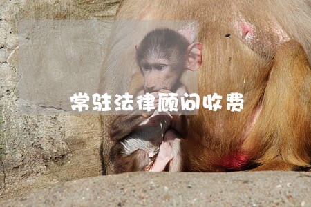 常驻法律顾问收费 常驻法律顾问收费