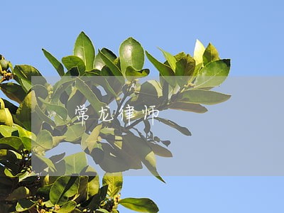 常龙律师
