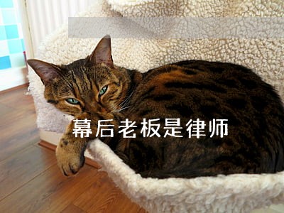 幕后老板是律师 幕后老板是律师