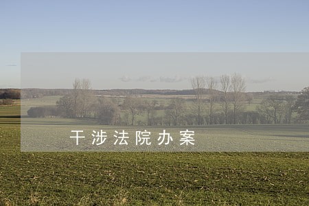 干涉法院办案 干涉法院办案