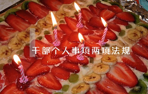 干部个人事项两项法规 干部个人事项两项法规