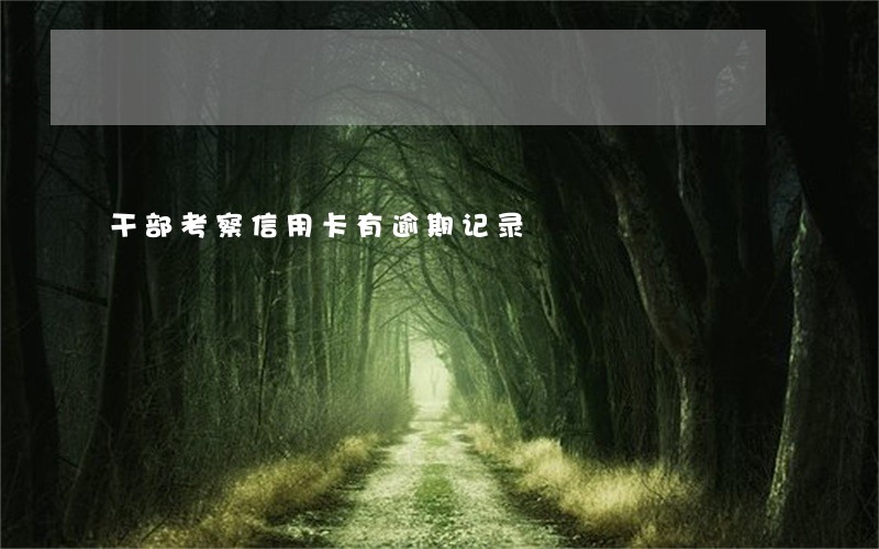 干部考察信用卡有逾期记录