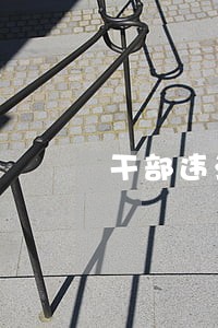 干部违法计划生育说明书
