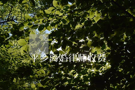 平乡离婚律师收费 平乡离婚律师收费
