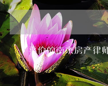 平价的南京房产律师费用 平价的南京房产律师费用
