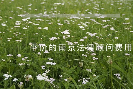 平价的南京法律顾问费用 平价的南京法律顾问费用