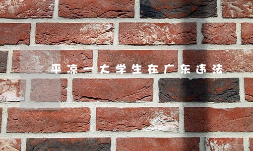 平凉一大学生在广东违法