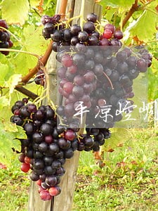 平凉崆峒区律师 平凉崆峒区律师