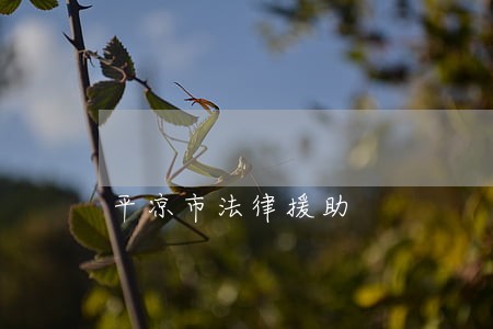 平凉市法律援助 平凉市法律援助