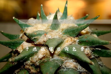 平凉法律咨询免费 平凉法律咨询免费