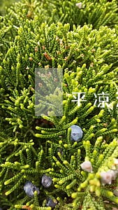 平凉法律援助在哪里 平凉法律援助在哪里