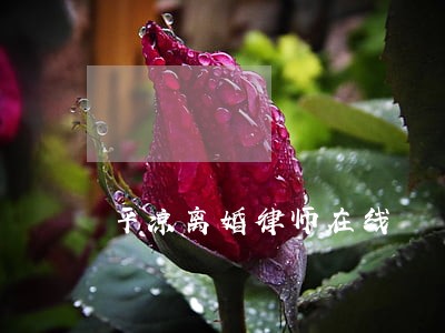 平凉离婚律师在线 平凉离婚律师在线