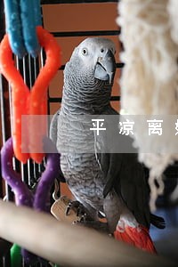 平凉离婚律师费用 平凉离婚律师费用