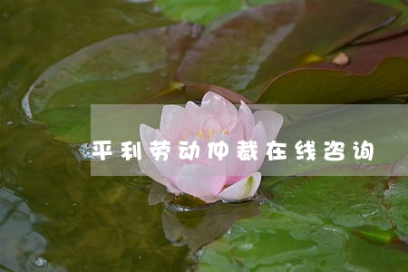 平利劳动仲裁在线咨询 平利劳动仲裁在线咨询