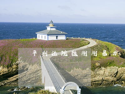 平利法院魏刚刚暴力 平利法院魏刚刚暴力