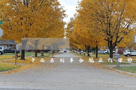 平南县刑事合规在线律师咨询 平南县刑事合规在线律师咨询