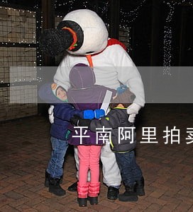 平南阿里拍卖司法拍卖网 平南阿里拍卖司法拍卖网