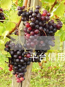 平台信用卡逾期了 平台信用卡逾期了