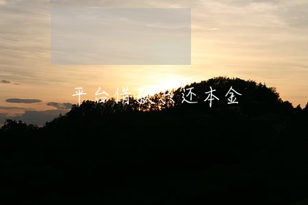 平台借款只还本金