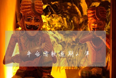 平台借款逾期2年 平台借款逾期2年