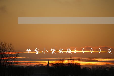 平台小贷欠款2000逾期三年多 平台小贷欠款2000逾期三年多