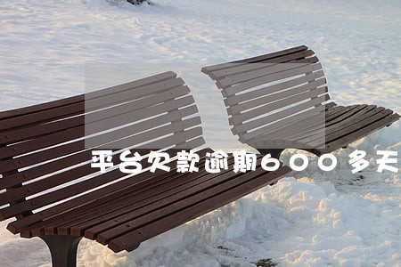 平台欠款逾期600多天 平台欠款逾期600多天