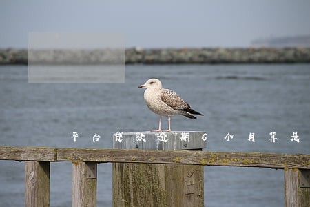 平台贷款逾期6个月算是 平台贷款逾期6个月算是