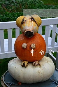 平台贷款逾期一天会怎么样