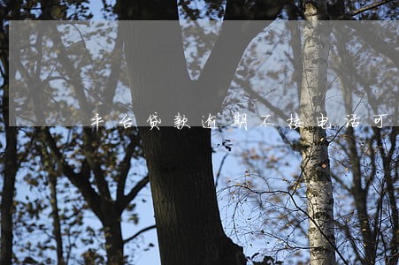 平台贷款逾期不接电话可以吗 平台贷款逾期不接电话可以吗