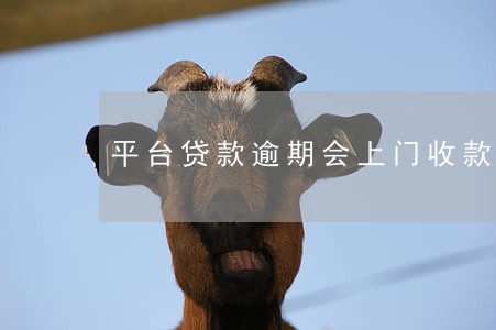 平台贷款逾期会上门收款嘛 平台贷款逾期会上门收款嘛