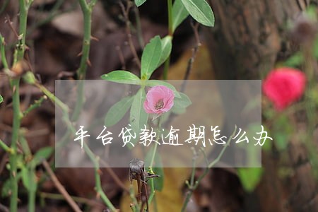 平台贷款逾期怎么办 平台贷款逾期怎么办