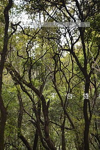 平台贷款逾期收房子吗 平台贷款逾期收房子吗