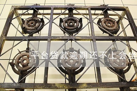 平台贷款逾期还不上会坐牢吗 平台贷款逾期还不上会坐牢吗