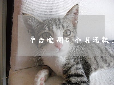 平台逾期6个月还款上征信报告 平台逾期6个月还款上征信报告