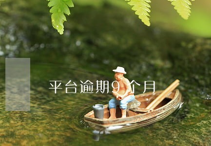 平台逾期9个月