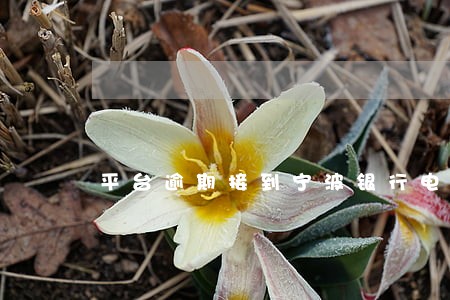 平台逾期接到宁波银行电话 平台逾期接到宁波银行电话