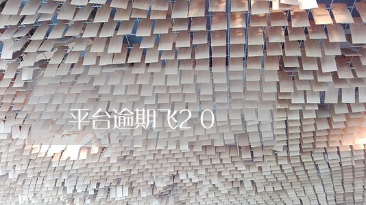 平台逾期飞20