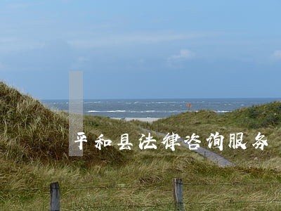 平和县法律咨询服务 平和县法律咨询服务